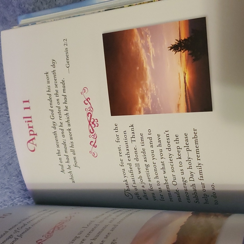 Daily gratitude - Picture 7 of 7